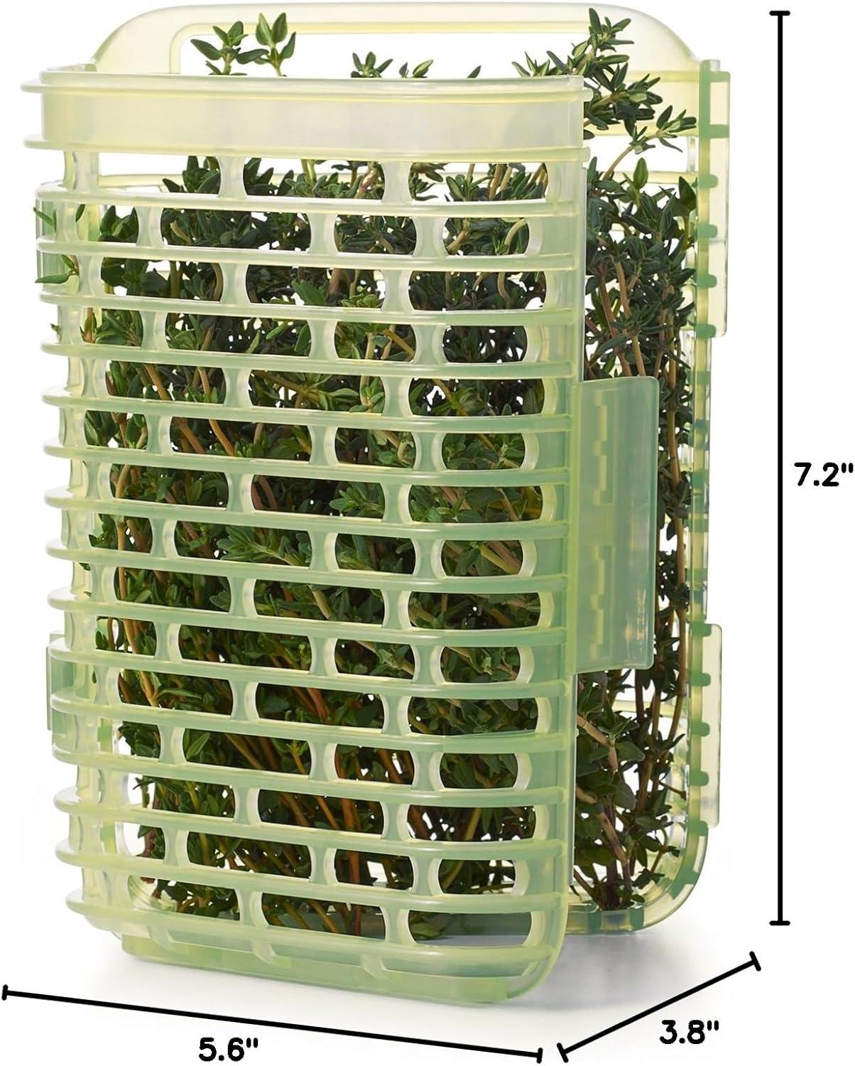 imageOXO Good Grips GreenSaver Produce Keeper 43 QtWhite18 QT Herb Keeper