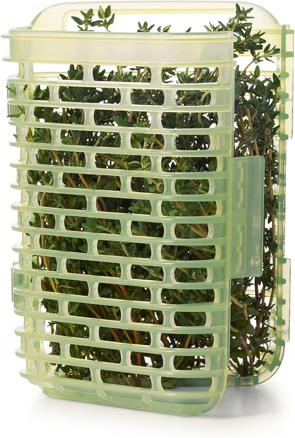 imageOXO Good Grips GreenSaver Produce Keeper 43 QtWhite18 QT Herb Keeper